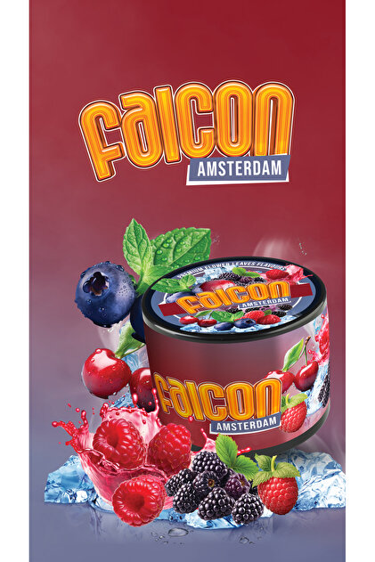 Falcon Amsterdam