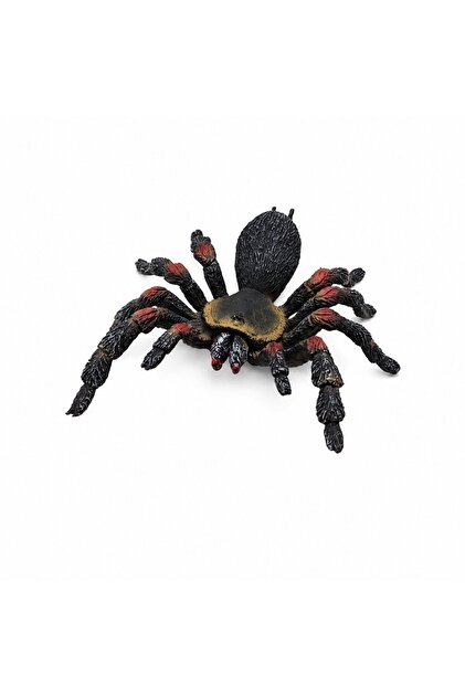 Gerçekçi Tarantula Figür