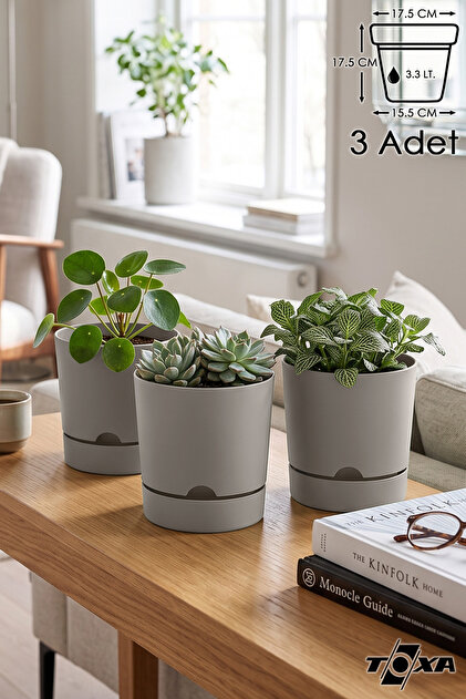3 Adet 3.3 Litre Begonya Saksı