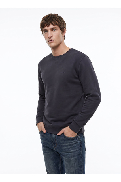Antrasit Erkek Regular Fit Sweatshirt D2620148003_Small Logo Sweatshirt