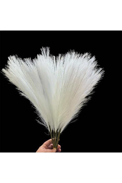 konak alışveriş 2 ADET TEK DAL TÜY PAMPAS BEYAZ 70 cm (7 dallı)