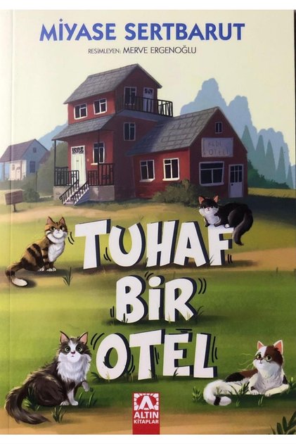 A Weird Hotel