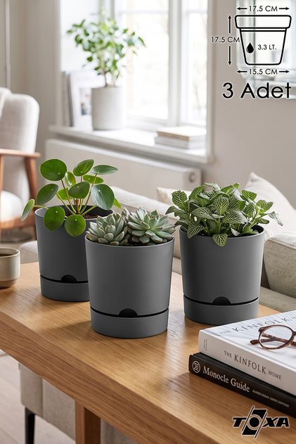 3 Adet 3.3 Litre Saksı