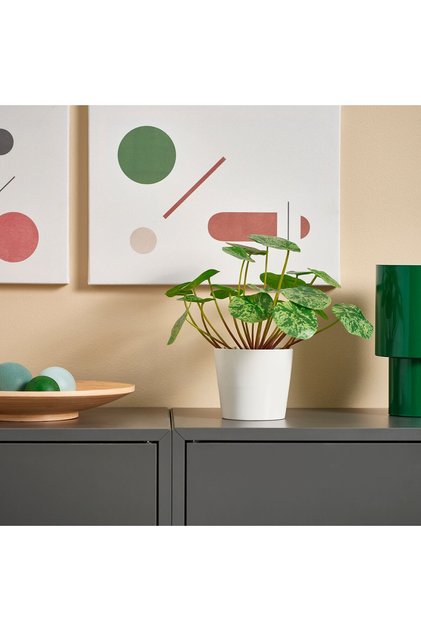 Modern Yeşil Yapay Bitki 9 cm Dekoratif Ev Bahçe Ofis Süs