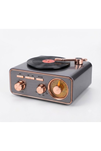 MD-1217BT Retro Bluetooth Speaker with FM Radio, Vintage Phonograph Style Wireless Audio Player with TF/USB/AUX Support, Portable Rechargeable Speaker for Home & Office - Dark Gray/Rose Gold