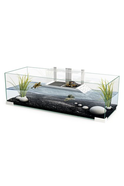 Tartarium 80 Turtle & Terrapin Glass Terrarium With Ramp 79x29.7x24.5cm - White