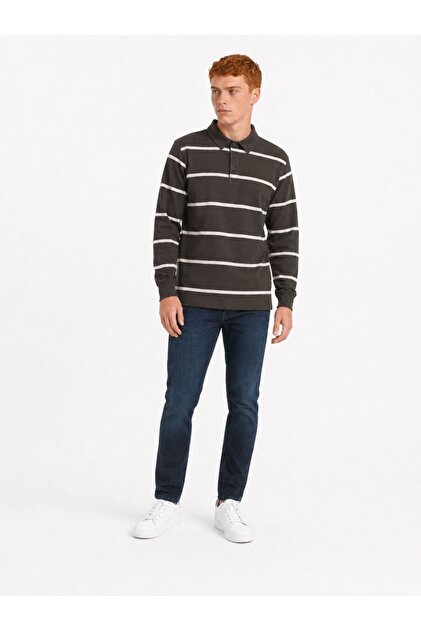 Regular Fit Men's Polo U.Kol