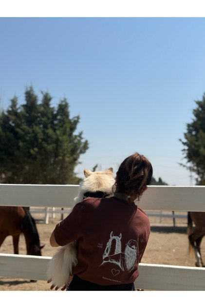 Horse Girl Premium Equestrian t Shirt