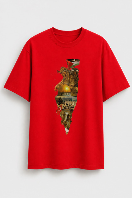 Free Gazza, Palestine Themed Daily Basic Half Oversize Premium T-Shirt