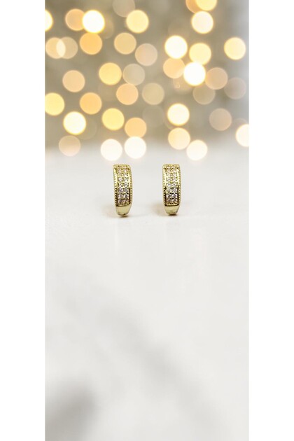Double Row Zircon Stone Gold Color Mini Hoop Steel Earrings - Tarnish Resistant