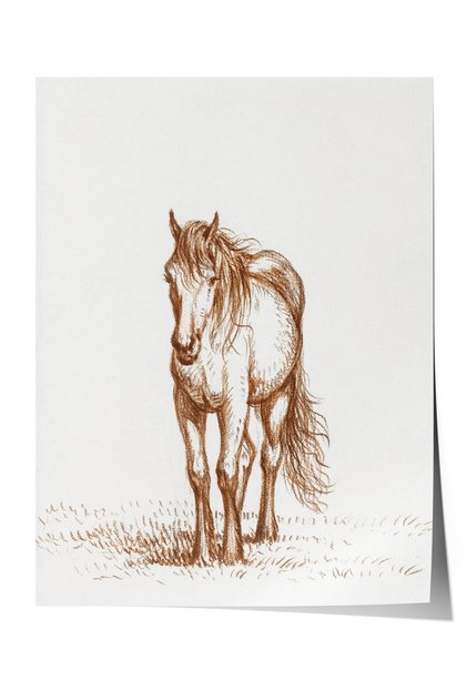 Poster Premium Vintage, Ilustrație cu cai în tonuri sepia, Nr.: 20659