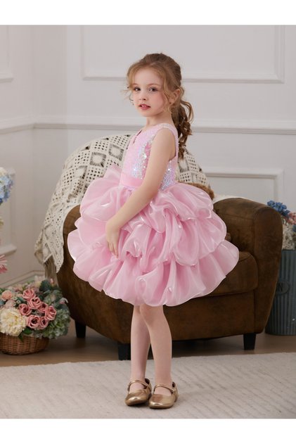 Pink Embellished A-Line Dress