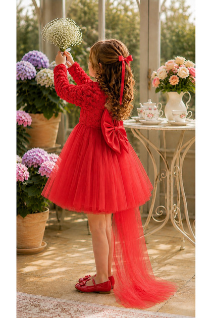 Baby Girl Rose Patterned Long Sleeve Bowknot Stylish Special Occasion Evening Dress 0-5 Years