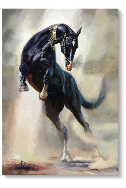 Horse Wall Art Multicolour 40x60cm