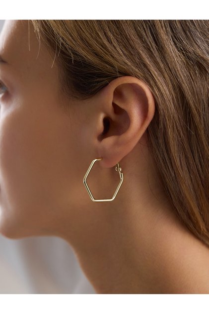 Steel Small Size Hexagonal Earrings