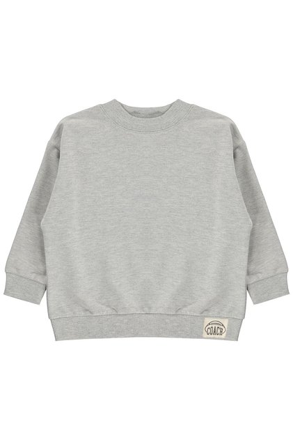 Basic Sweatshirt for Ages 2-5 - Gray