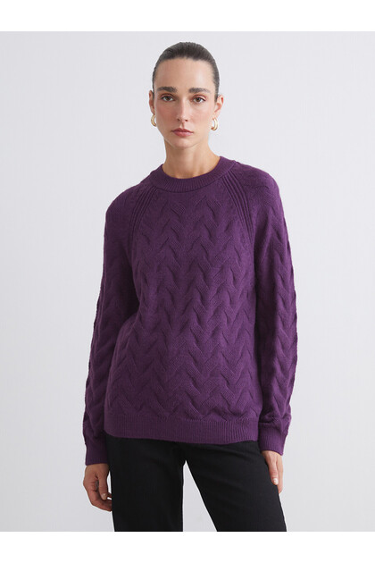 Alita City Farkıyla Lcwaikiki Classic Purple Oval Neck Self-Patterned Women's Knitwear Sweater