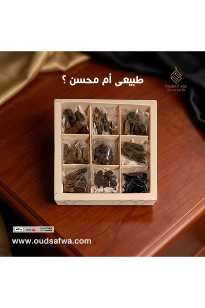 Oud Sampler Collection: An Exploratory Journey into the World of Oud