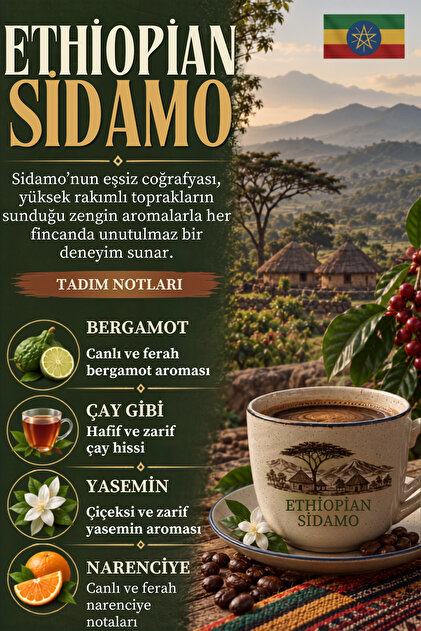 Ethiopian Sidamo Coffee 250g – Filter & Espresso Compatible (Whole Bean / Ground)