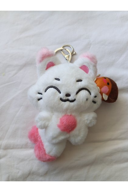 ENHYPEN ENCHIN KİSHU Peluş Anahtarlık 10-13 cm Yurt Dışı İthal Kaliteli Replik Çanta Süsü ve Fandom Aksesuarı