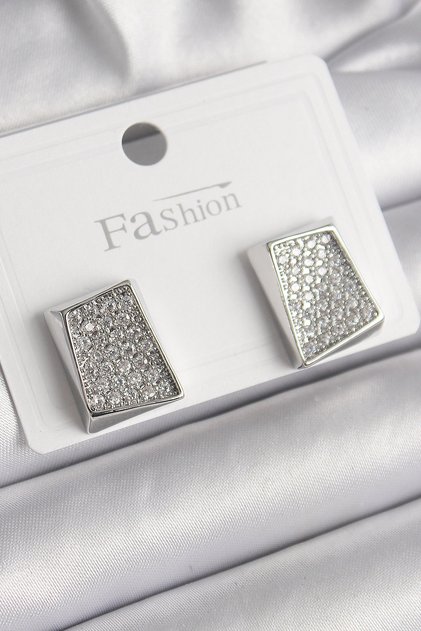 Brass Silver Color Zircon Stone Plate Model Women's Earrings Tj-Bkp9849