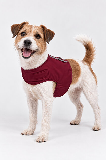 Reflective Softshell Air Mesh Adjustable Dog Chest Harness