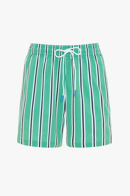 Vocation Striped Mid-Waist Men's Swim Shorts