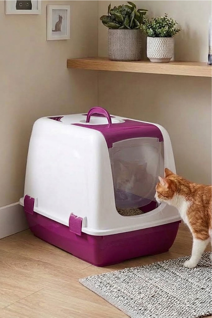 Petozi Kapalı Kedi Tuvaleti - 40x37,5x50 Cm Kürekli Mor - Fiyatı
