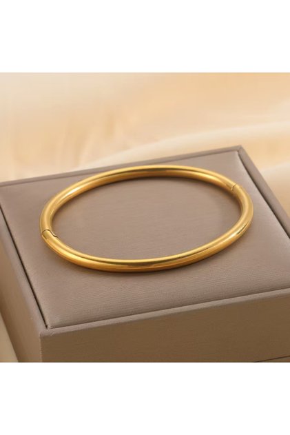 Titanyum Gold kaplama Oval çelik bilezik