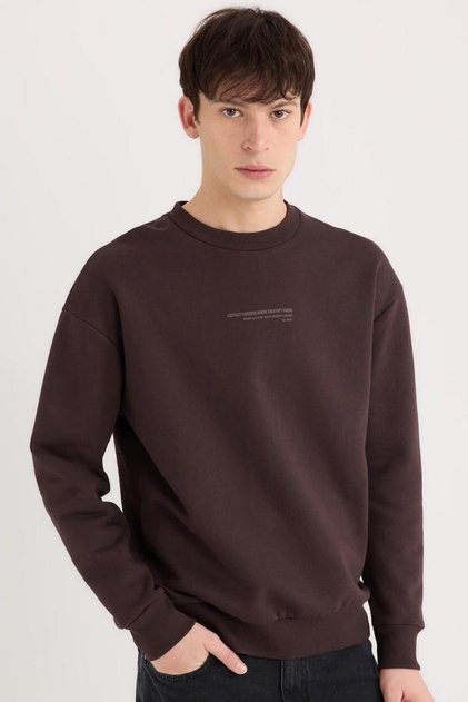 Boxy Fit Bisiklet Yaka Baskılı Sweatshirt (26 AU)