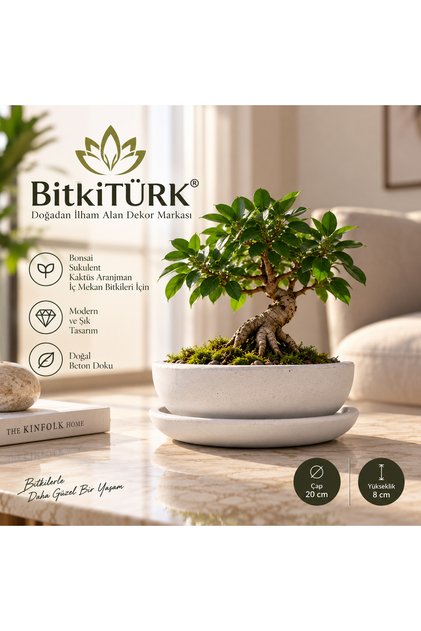 Beton Saksısı ve Altlık Seti | İç Mekan Bitkisi, Bonsai, Sukulent ve Kaktüs Aranjmanları İçin Dekoratif Saksı