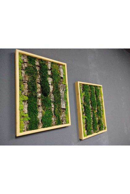DCARTGALLERY 2'li Doğal Ağaç Kabuğu & Şoklanmış Yosun Tablo Seti (30x40 cm) - Masada & Duvarda Kullanıma Uygun Ahşap Çerçeveli Dikey Bahçe