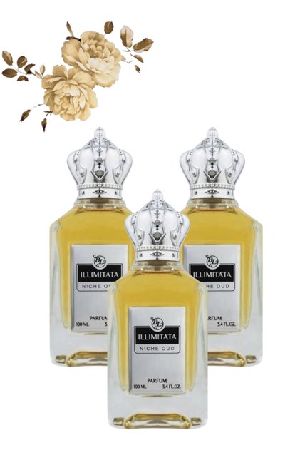3 قطع Niche Oud عطر 100 مل