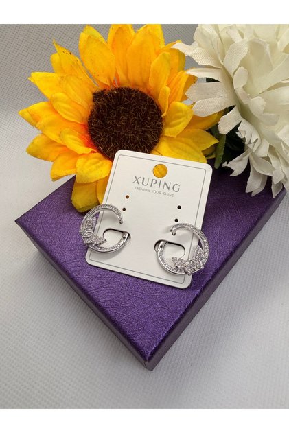 Zircon Stone Silver Color Butterfly Figure Rotating Model Steel Earrings