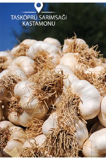 Tohumluk Taşköprü Sarımsağı 100 Gr