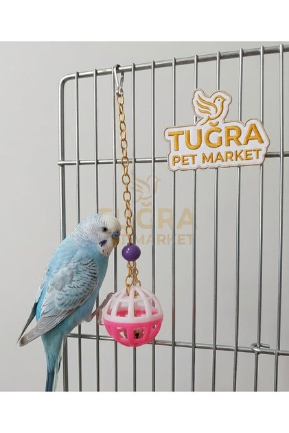 Bird Play Ball with Bell Bird Toy