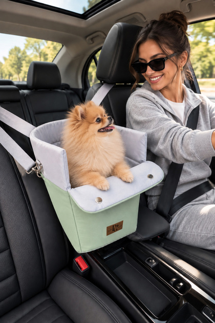 Kedi Köpek Seyahat Çantası – Araç İçi Sabitlenebilir Evcil Hayvan Taşıma Çantası - Yeşil