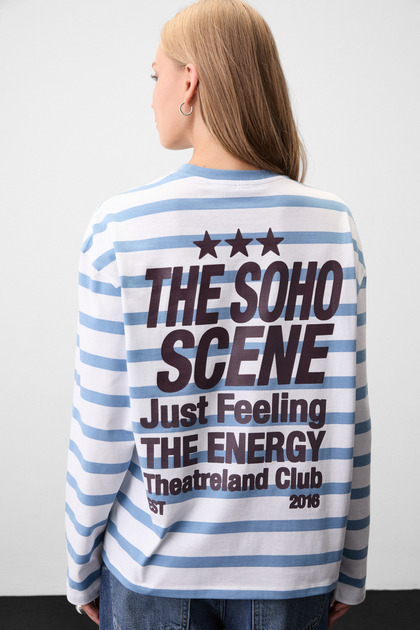 Basil striped women's striped fabric printed long sleeve white-blue striped t-shirt