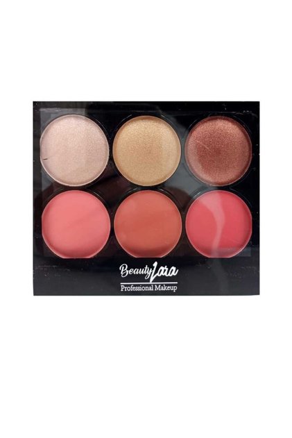 باليت بلاشر وإضاءة Professional Makeup