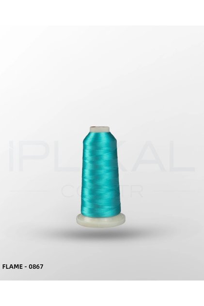 Flame - 0867