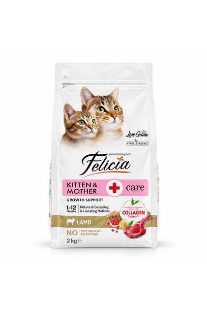 Kitten & Mother-Care Low Grain Hrană uscată completă pentru pisoi și pisici gestante sau care alăptează cu miel, 2 kg