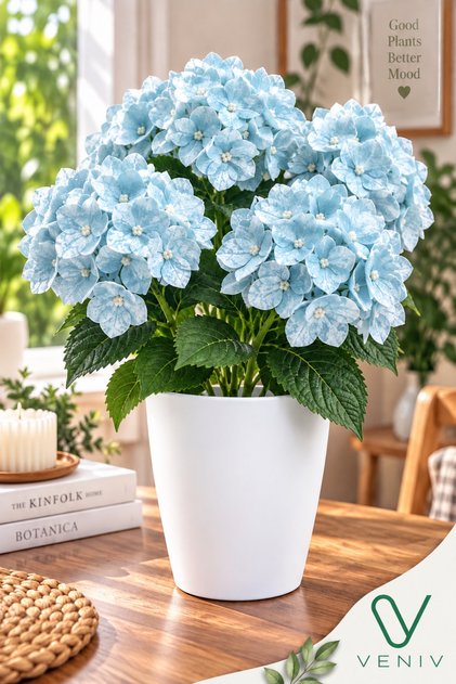 Saksılı Yapay Ortanca Çiçeği 40-45 cm | Dekoratif Yapay Çiçek | Beyaz Saksılı Ev Ofis Dekorasyonu
