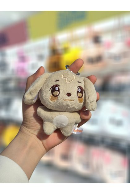 Ateez Aniteez Plush Toy