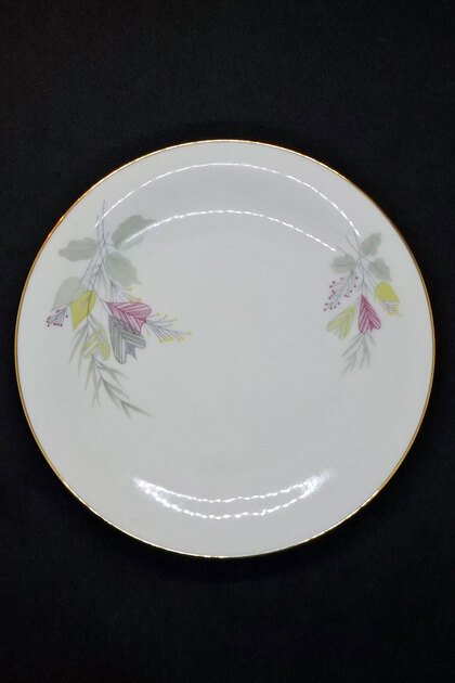 Tirschenreuth Hackefors Pasta Plate 17 cm