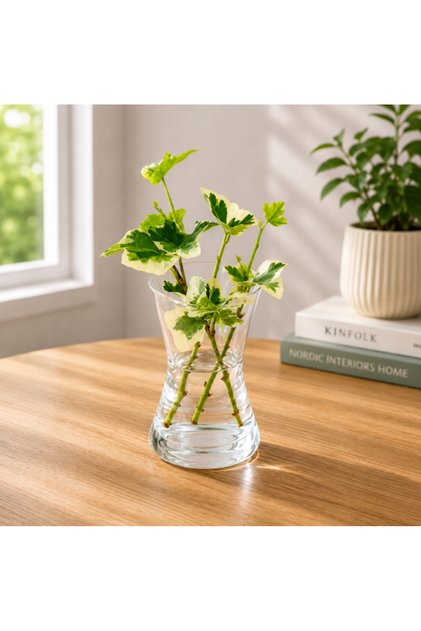 Hedera Helix Cuttings
