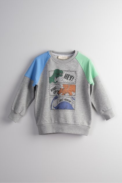 Printed Boys' Sweatshirt 100% Cotton