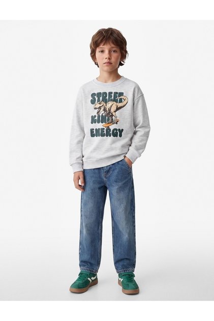 Long Sleeve Crew Neck Dinosaur Printed Sweatshirt