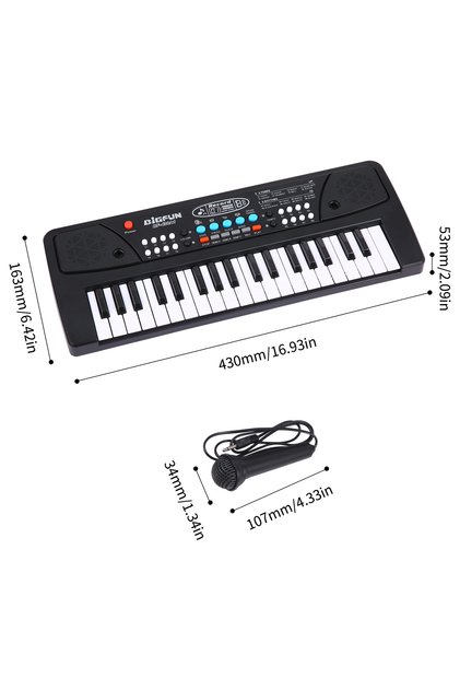 BF-430A1 37 Keys BIGFUN 37 Keys/49 Keys USB Electronic Organ Keyboard Piano Digital Music Electronic