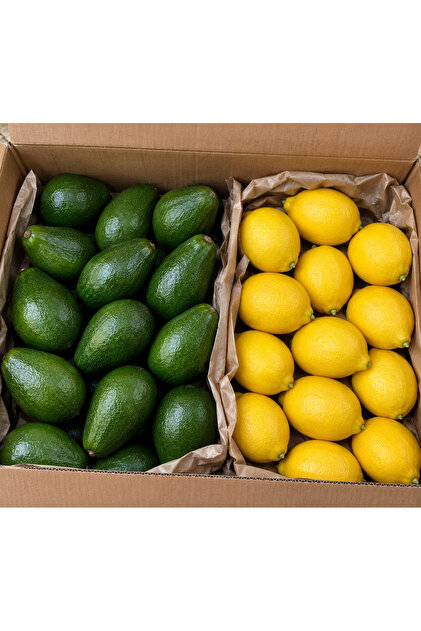 2 Kg Taze hasat avokado 2 Kg bol sulu Limon