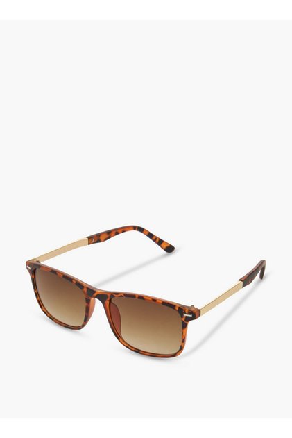 Men Brown Lens Sunglasses